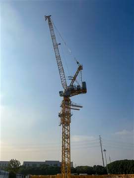 Luffer Manitowoc Potain MR 819