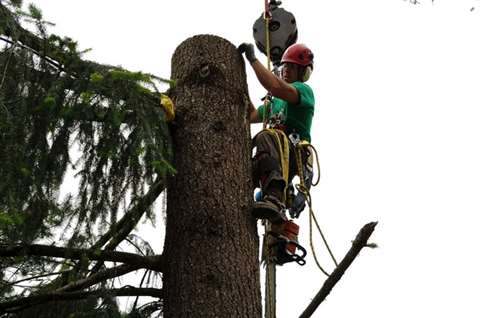 Straightpoint load cells used by a tree service company