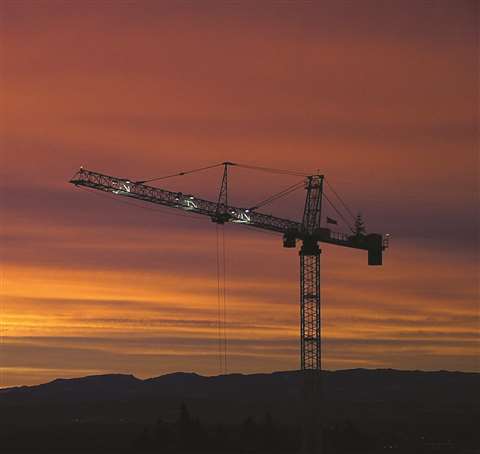 Lighted crane