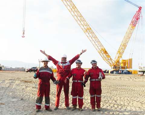 Gruas maule cc 3800 1 (1)